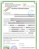 01 - Numéro d'identification fiscale
